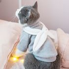 カスタマイズされたパターン猫の身に着けているセーター、デザイナー猫はサイズXS - XXL --に着せます サプライヤー
