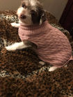 ペット衣服によってカスタマイズされるサイズに秋/冬のためのかわいい犬の衣服を作って下さい サプライヤー