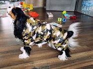 反射子犬小さい犬のレイン コート、柔らかい通気性の防水犬のジャケット サプライヤー
