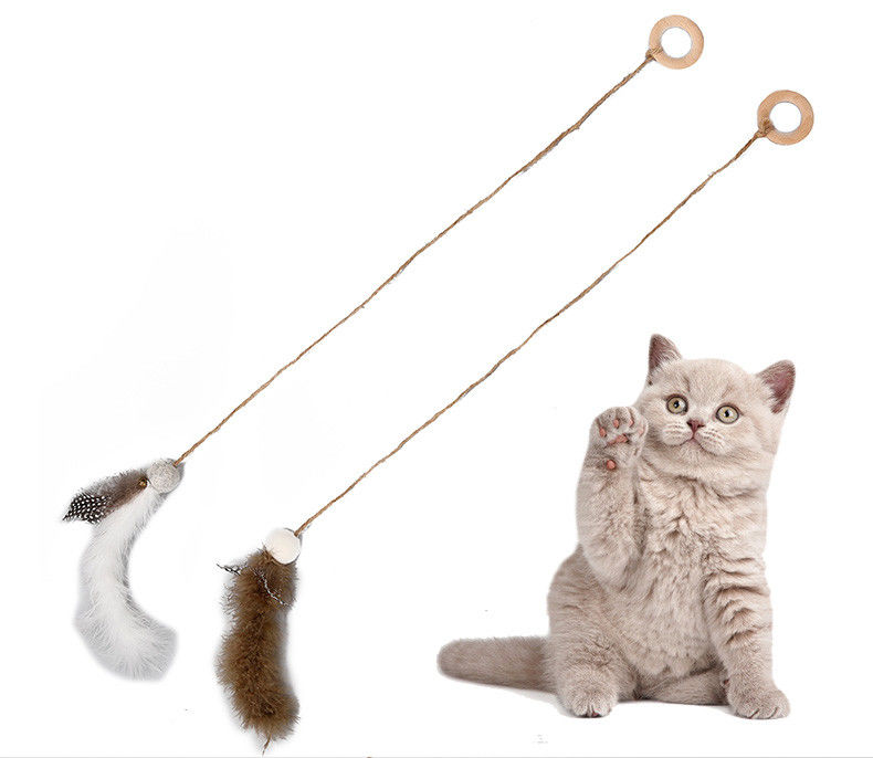 ステンレス鋼の棒PPのプラスチック破片が付いているおかしい相互猫のおもちゃ サプライヤー