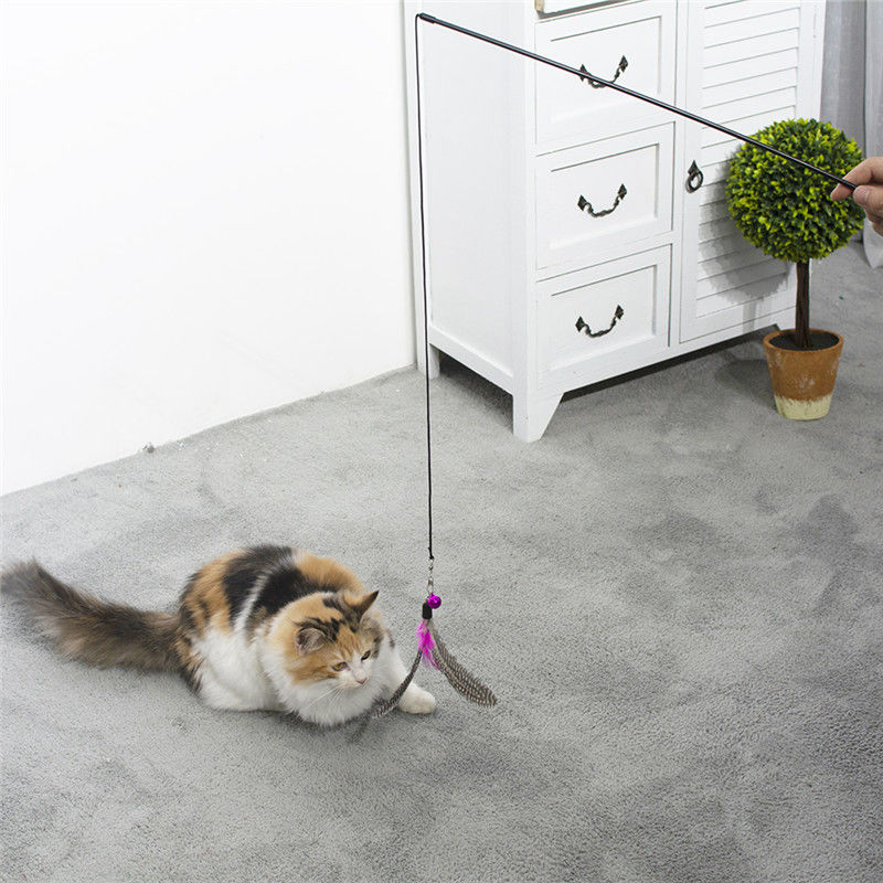 注文のバルク細い棒のティーザー屋内に猫の遊ぶことのための相互猫のおもちゃ サプライヤー
