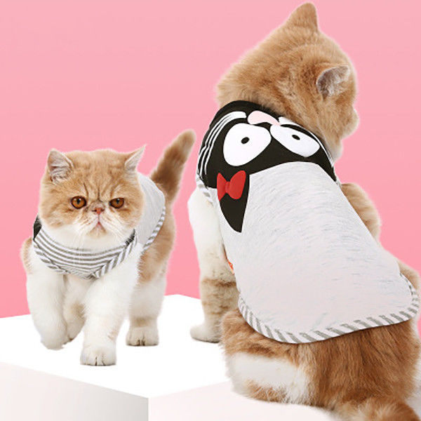 衣服の専門の適用範囲が広い編まれた布材料を身に着けている快適な猫 サプライヤー