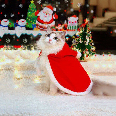 クリスマス様式の贅沢な猫はギフト/記念品のための赤いマントの重量0.15kgに着せます サプライヤー