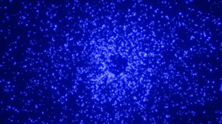 モダンな猫スクラッチャーベッド楽しいおもちゃ