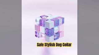 反射犬用首輪お手入れ簡単